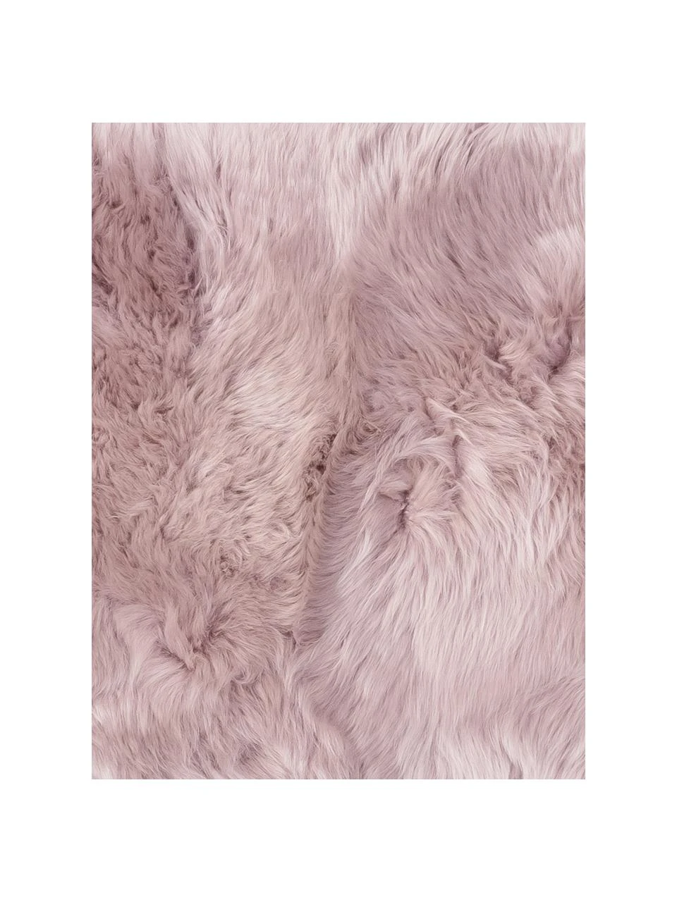 Schaffell-Teppich Oslo, glatt, B 60 x L 180 cm – Bild 3