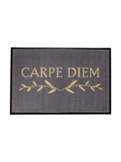 GiftCompany Waschbare Polyamid-Fußmatte Carpe Diem, B 50 x L 75 cm